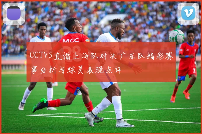 CCTV5直播上海队对决广东队精彩赛事分析与球员表现点评