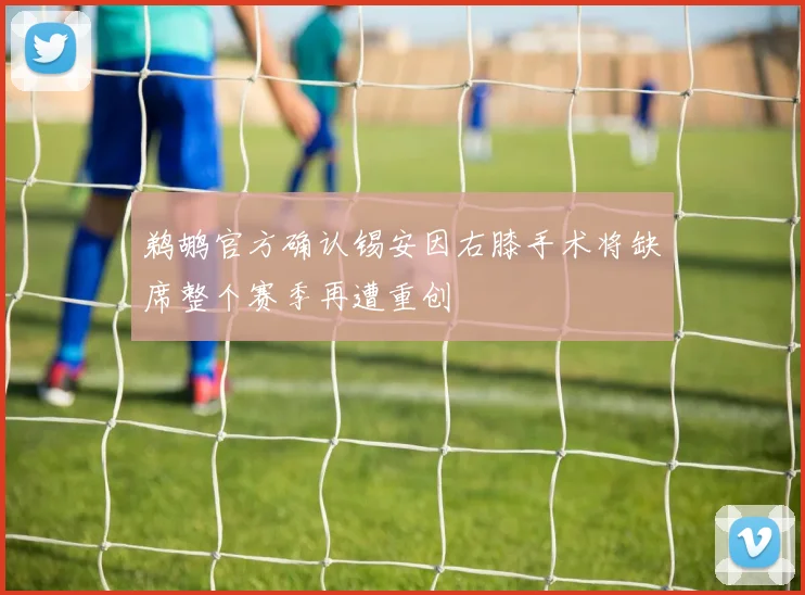 鹈鹕官方确认锡安因右膝手术将缺席整个赛季再遭重创