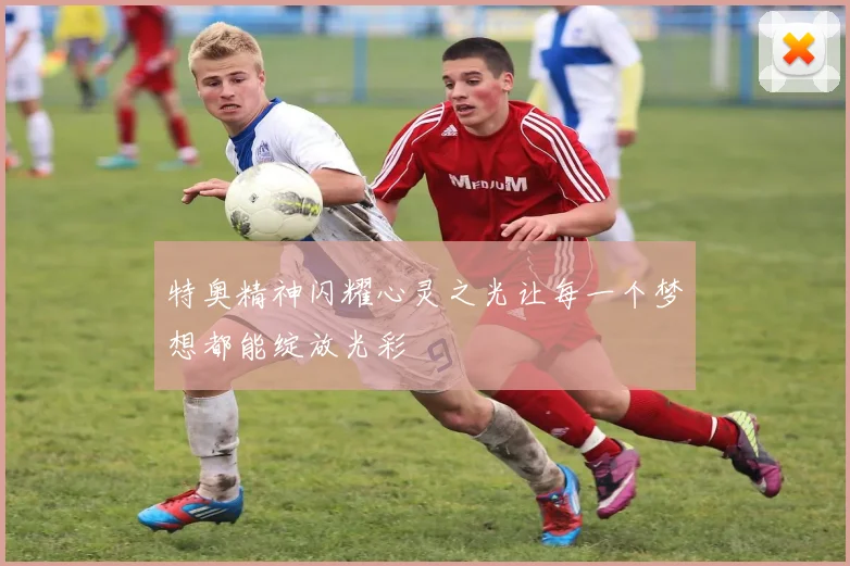 特奥精神闪耀心灵之光让每一个梦想都能绽放光彩