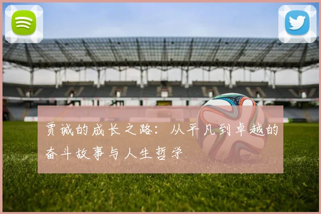 贾诚的成长之路：从平凡到卓越的奋斗故事与人生哲学