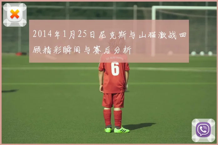 2014年1月25日尼克斯与山猫激战回顾精彩瞬间与赛后分析